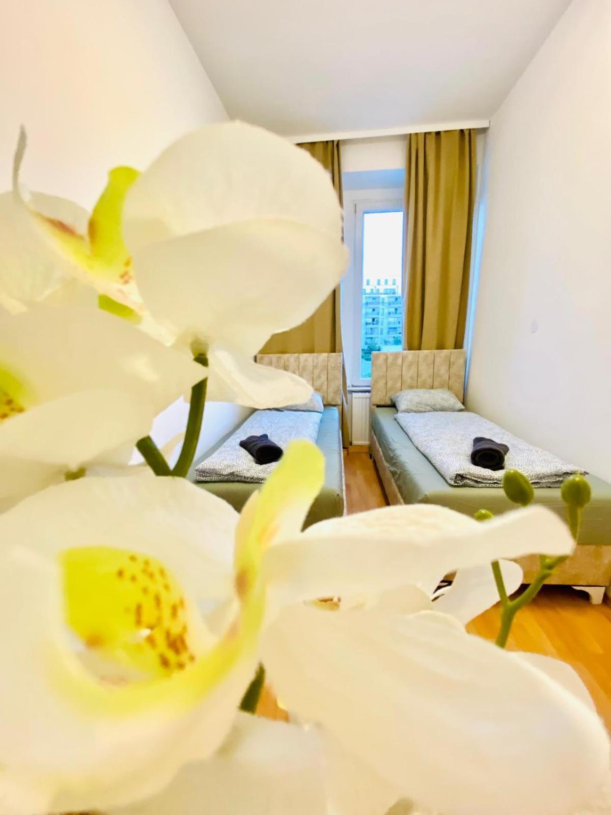 Bright 5Br Shared Apartment W Great Transport Link Wenen Buitenkant foto